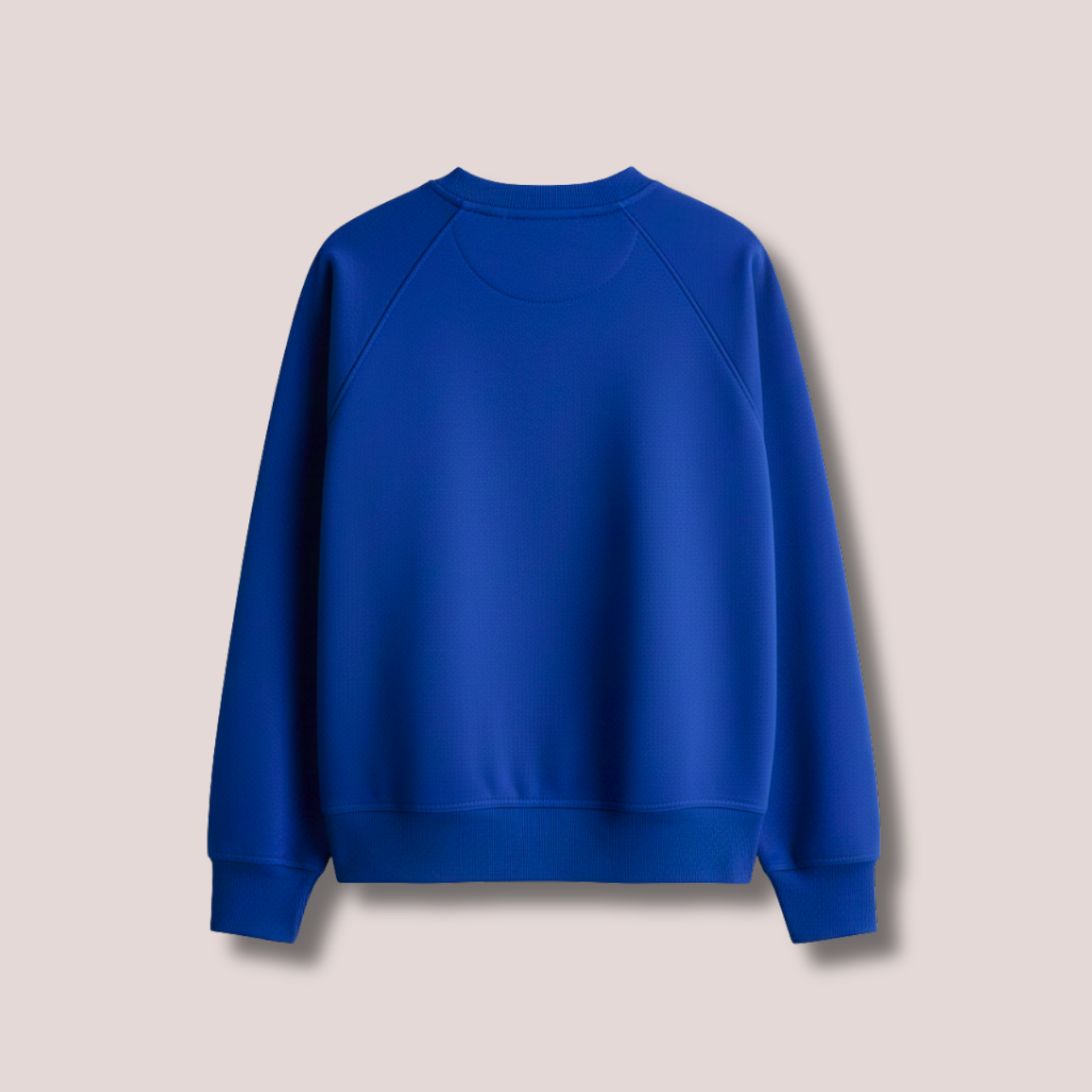 SOLID OVERSIZED SWEATSHIRT IN BLUE